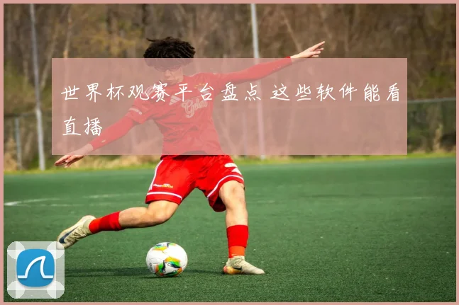 世界杯观赛平台盘点 这些软件能看直播