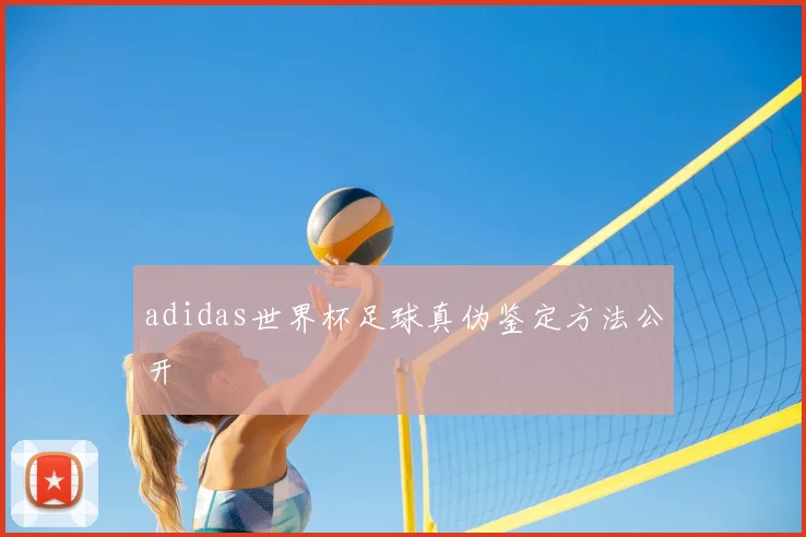 adidas世界杯足球真伪鉴定方法公开