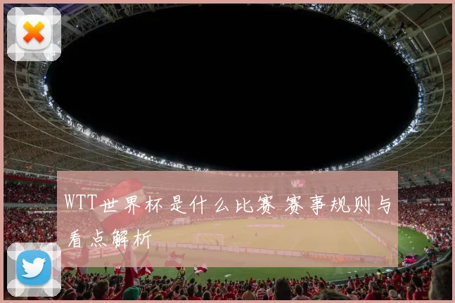 WTT世界杯是什么比赛 赛事规则与看点解析